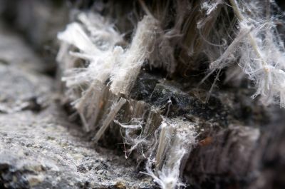 Asbestos Testing
