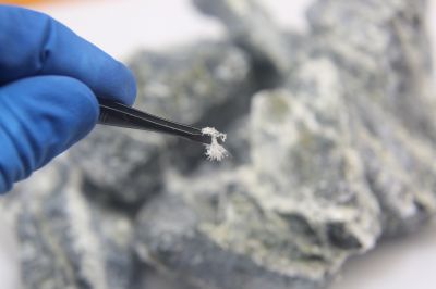 Asbestos Testing Costs — Cost of Asbestos Testing